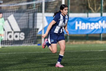 Bild 95 - wBJ Hamburger SV - Hertha BSC : Ergebnis: 2:1